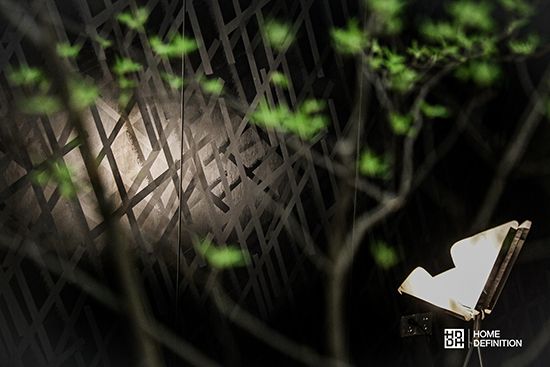 HD林麗妮 | 以設(shè)計(jì)為驅(qū)動(dòng) 聚焦品牌差異化優(yōu)勢打造