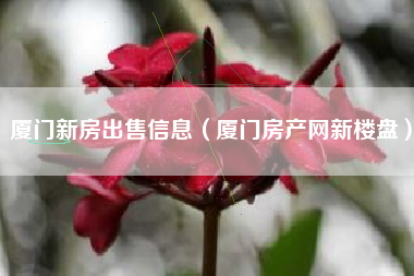 廈門家庭裝修網_廈門裝修家庭網站有哪些_廈門家裝網平臺