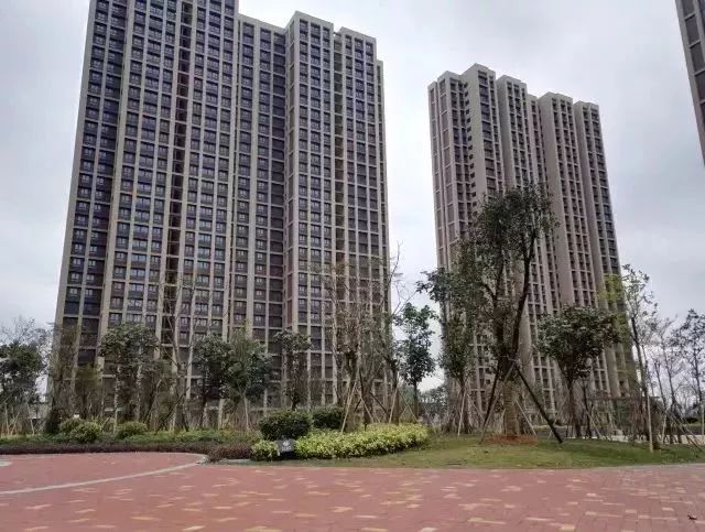 廈門(mén)房屋裝修管理規(guī)定_保障房裝修廈門(mén)_廈門(mén)裝修保障網(wǎng)