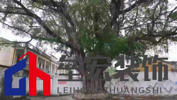 期頤華僑反哺故鄉(xiāng)桑梓情深，“夢改”助力潮州大吳村再綻魅力